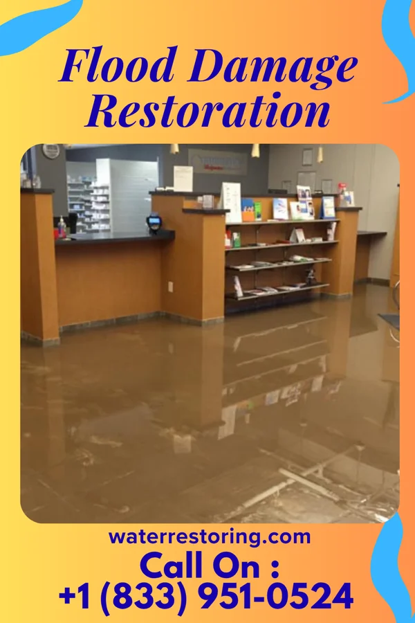 Flood Damage Restoration in Brooklyn Park, MD
