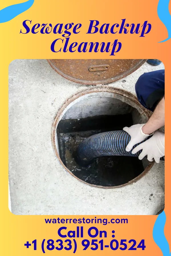 Sewage Backup Cleanup in Brooklyn Park, MD