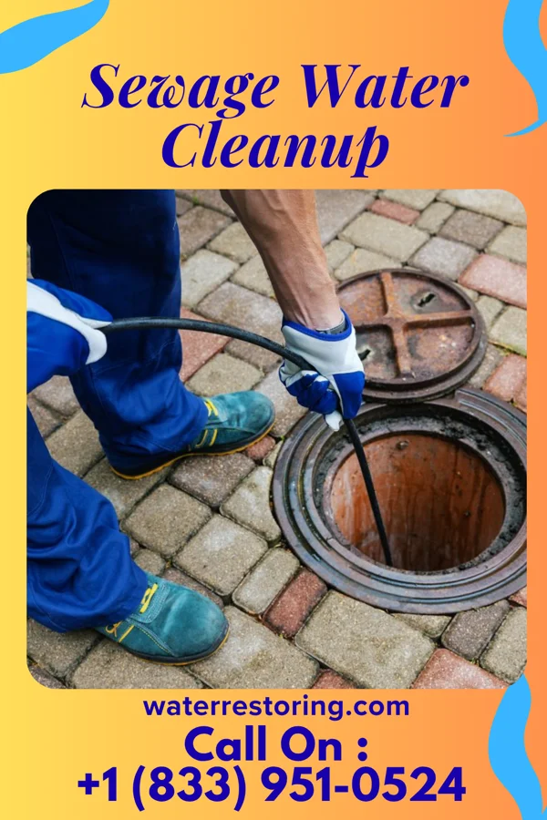 Sewage Water Cleanup in Brooklyn Park, MD