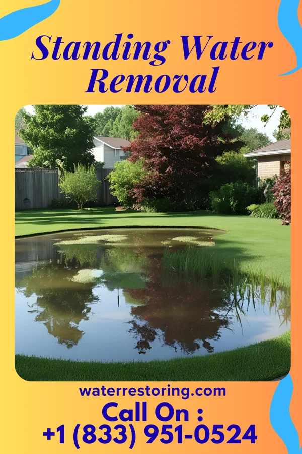 Standing Water Removal in Brooklyn Park, MD